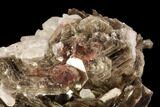 Muscovite & White Albite Crystal Association - Brazil #95568-2